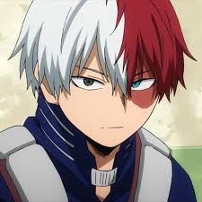 Todoroki Shoto is not five weenies