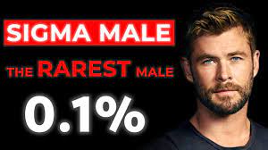 Sigma male is a slang term used in masculinist subcultures for a popular, successful, but highly independent and self-reliant man.