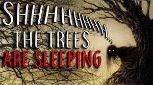 “Shh, the trees are sleeping” is a creepypasta by CreepsMcPasta
