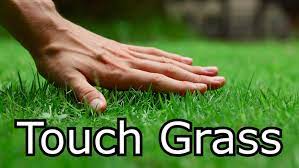 Touch Grass response copypasta