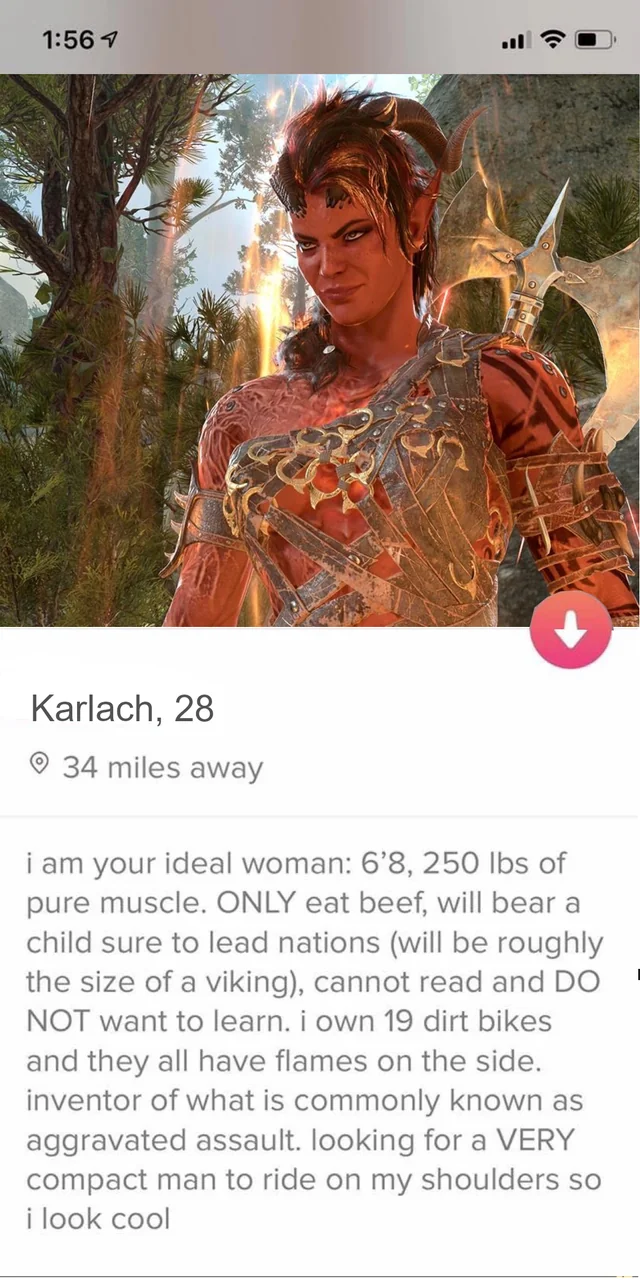 Ideal woman Tinder bio copypasta