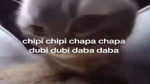Chipi Chipi Chapa Chapa cat meme
