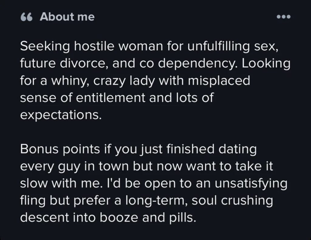 Tinder bio starting with seeking hostile woman for unfulfilling sex