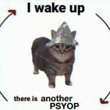 4chan Cat, I wake up there is another psyop